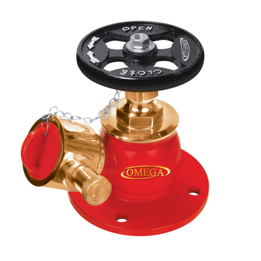 Fire Hydrant Landing Valve